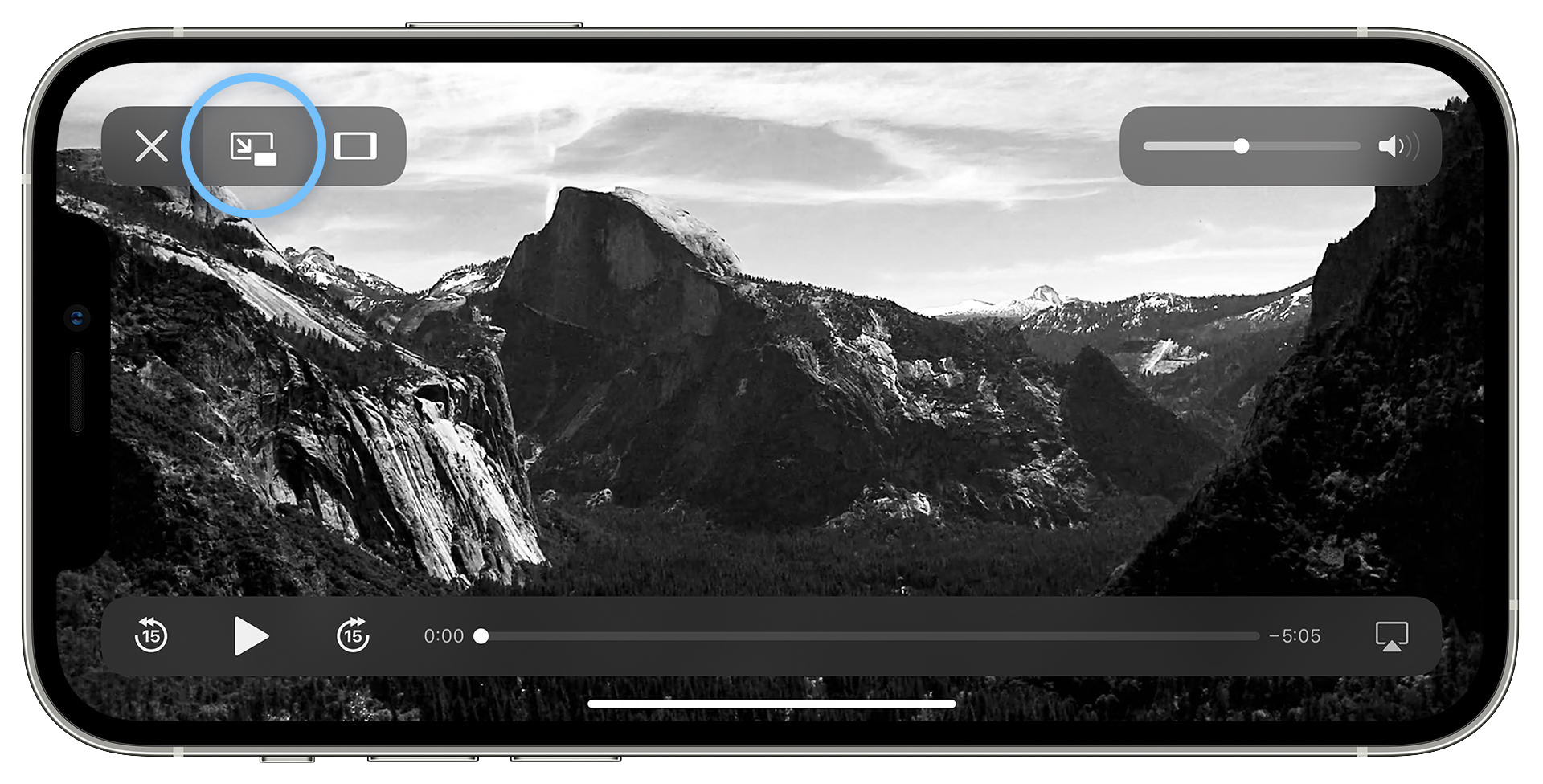 ProCamera Picture in Picture Mode Screenshot White